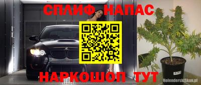 шишки Балашиха