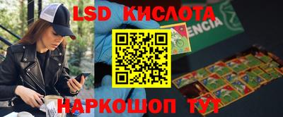прущие грибы Балаково