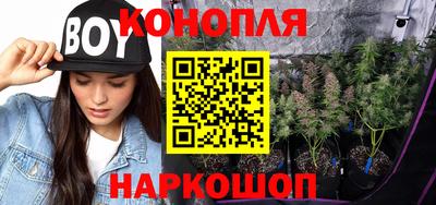прущие грибы Балаково