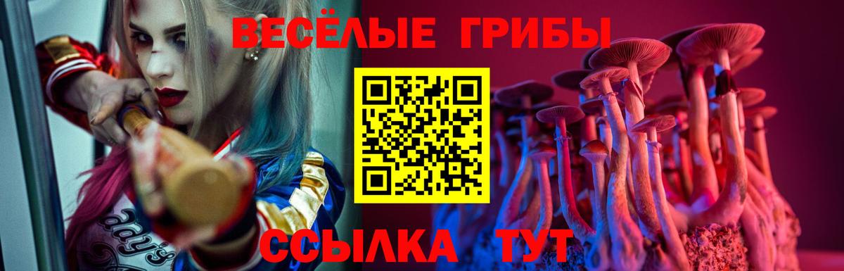 Галлюциногенные грибы Cubensis Грязи