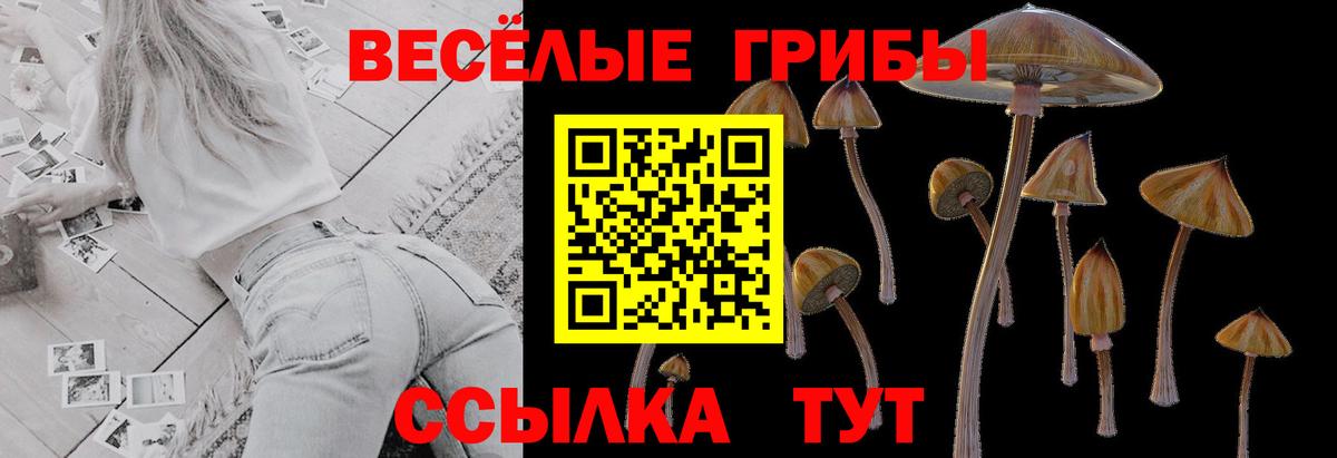 Псилоцибиновые грибы мицелий  закладка  Грязи  Псилоцибиновые грибы Cubensis  Вход с VPN 